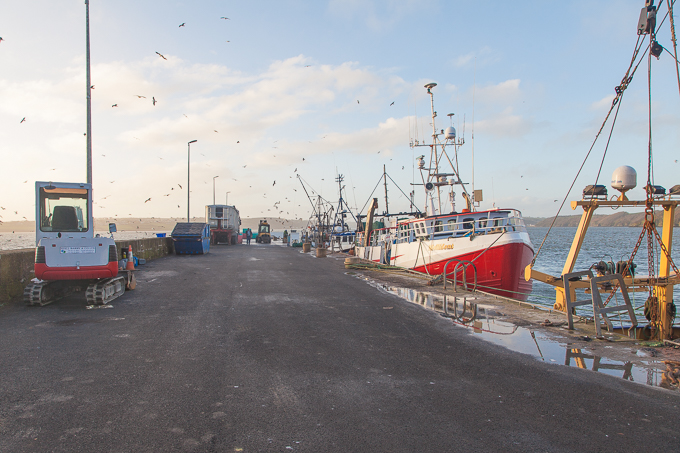Ireland Nov 2015 (18)